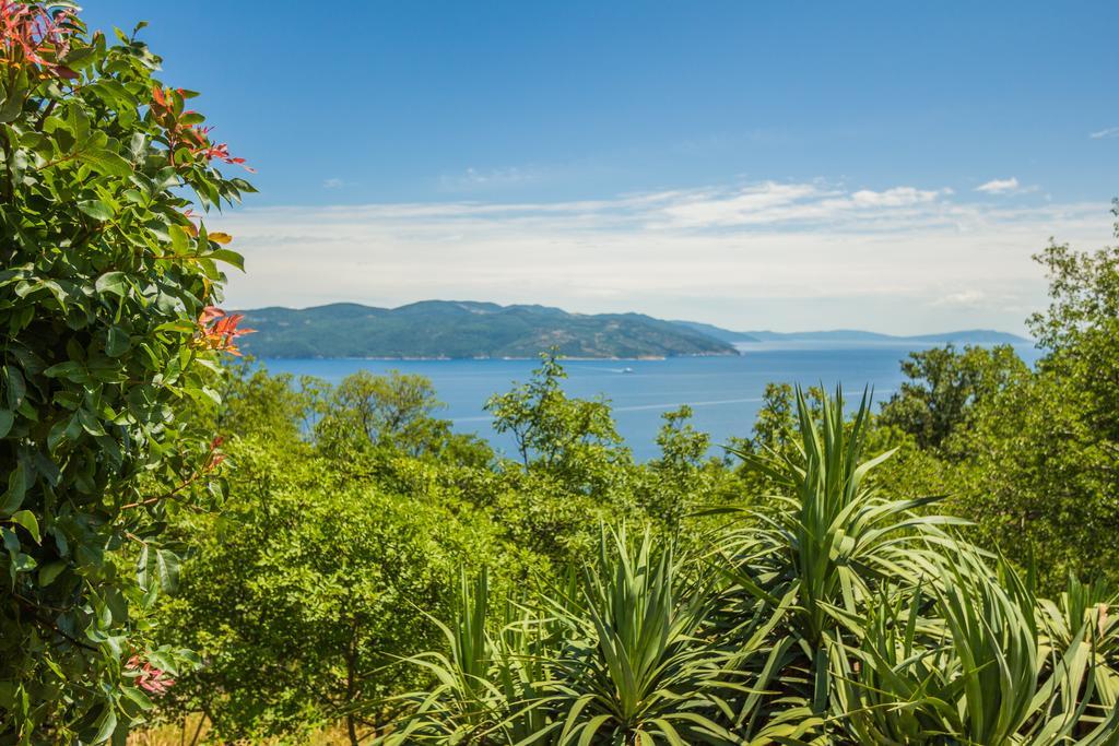 Ivanini Secluded Stone Villa With A Stunning View Brseč Buitenkant foto
